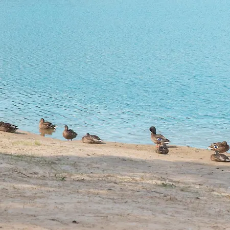 Letniskowy Nad Jeziorem W Goldapi, Wczasowa72 *