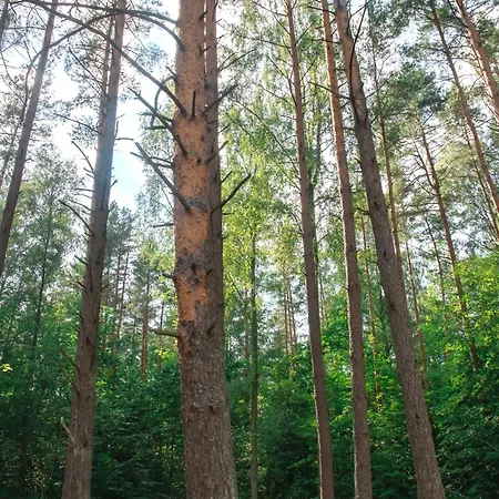 Letniskowy Nad Jeziorem W Goldapi, Wczasowa72